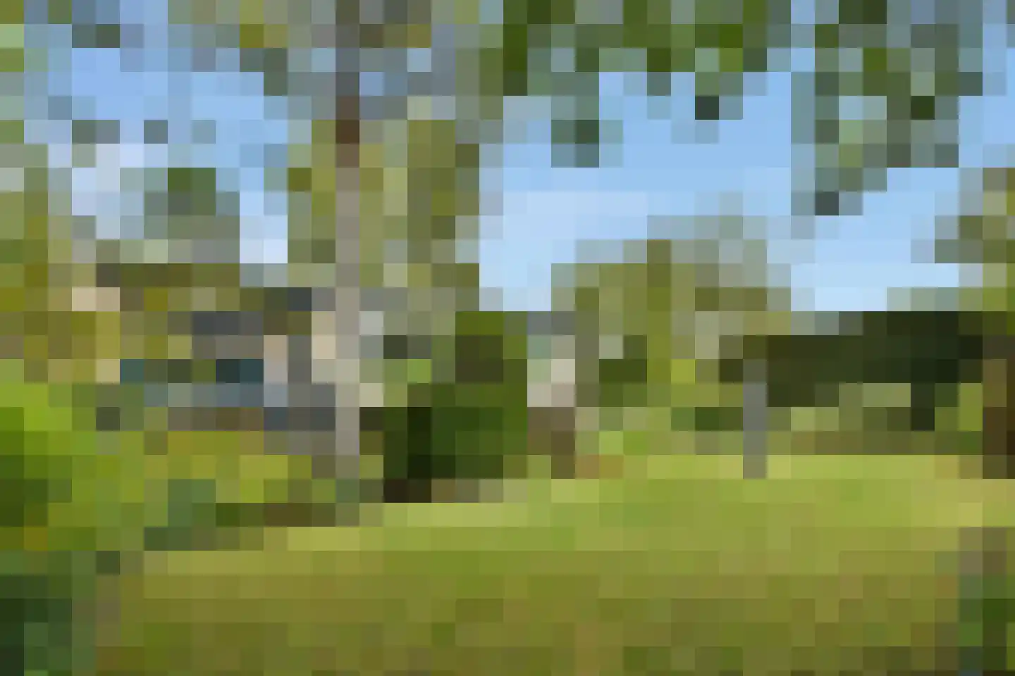 Karel de Grotelaan 135 Vlaardingen thumbnail 4