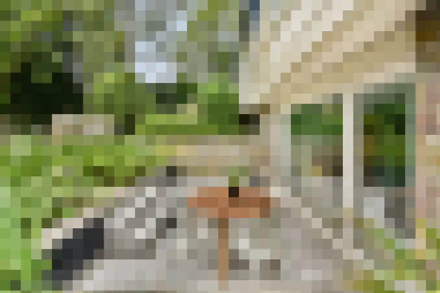 Karel de Grotelaan 135 Vlaardingen thumbnail 44