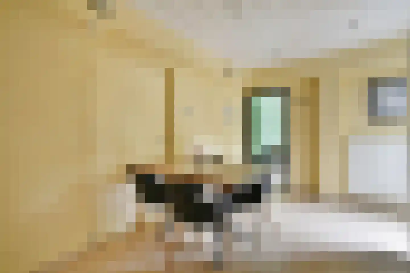 Karel de Grotelaan 135 Vlaardingen thumbnail 46