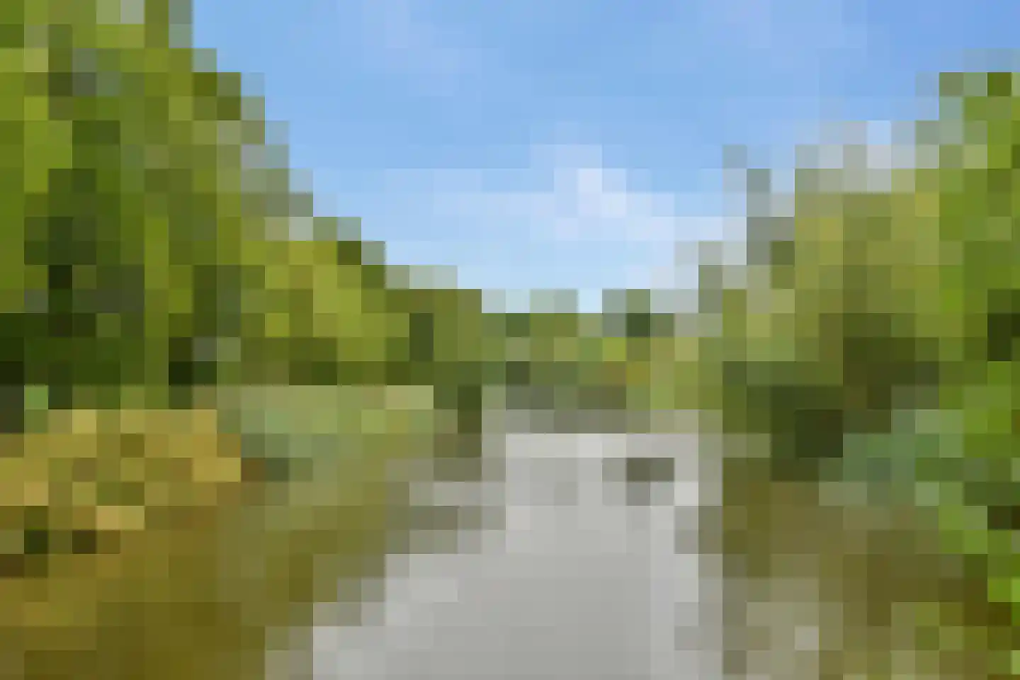 Karel de Grotelaan 135 Vlaardingen thumbnail 54