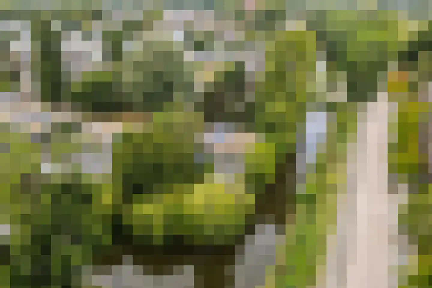 Karel de Grotelaan 135 Vlaardingen thumbnail 56