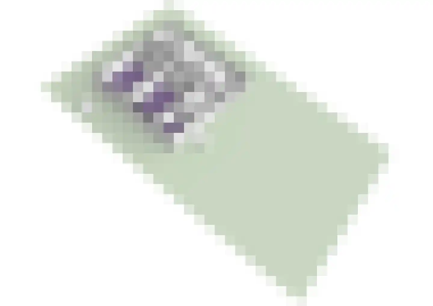 Karel de Grotelaan 135 Vlaardingen thumbnail 69