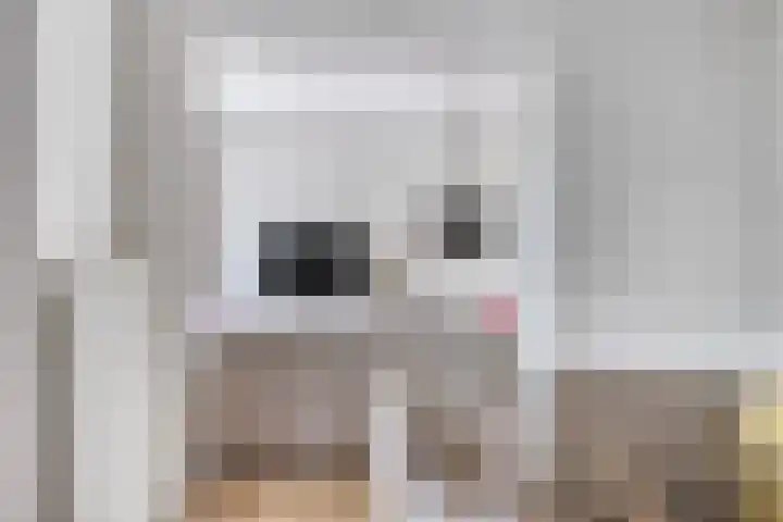 Karel de Grotelaan 149 Eindhoven thumbnail 12