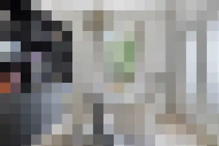 Karel de Grotelaan 149 Eindhoven thumbnail 14