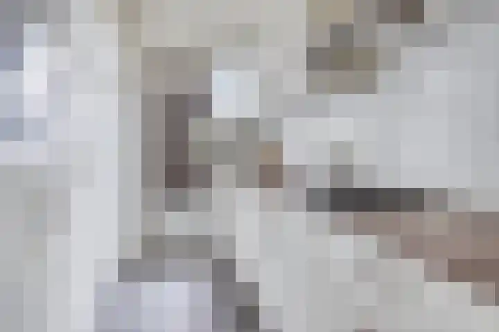 Karel de Grotelaan 149 Eindhoven thumbnail 17