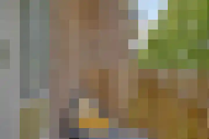 Karel de Grotelaan 149 Eindhoven thumbnail 21