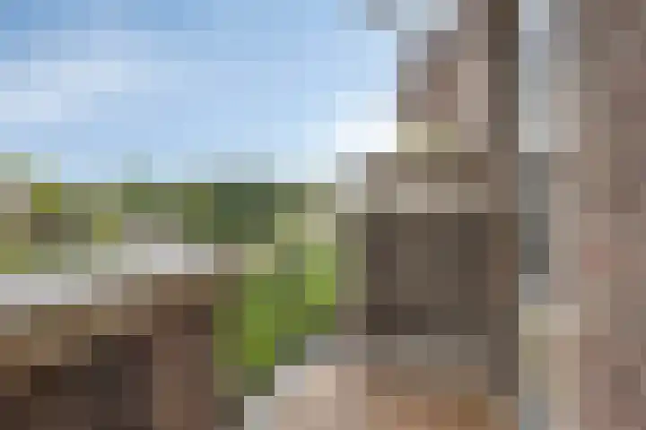 Karel de Grotelaan 149 Eindhoven thumbnail 22