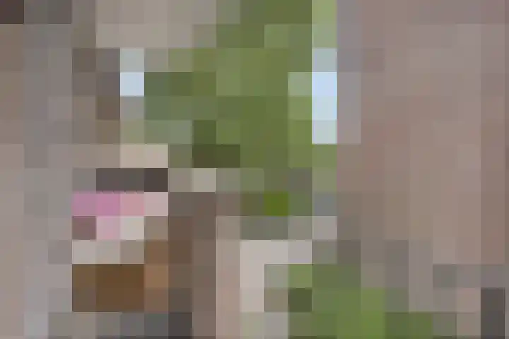 Karel de Grotelaan 149 Eindhoven thumbnail 23