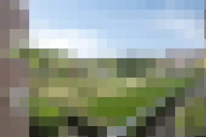 Karel de Grotelaan 149 Eindhoven thumbnail 24
