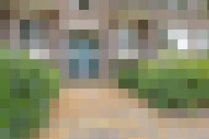 Karel de Grotelaan 149 Eindhoven thumbnail 25