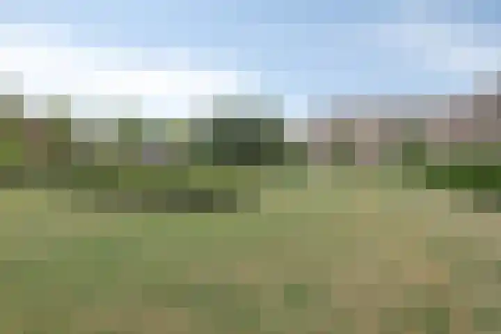 Karel de Grotelaan 149 Eindhoven thumbnail 27