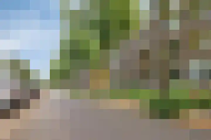 Karel de Grotelaan 149 Eindhoven thumbnail 28