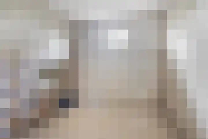 Karel de Grotelaan 149 Eindhoven thumbnail 31