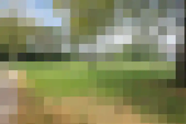 Karel de Grotelaan 149 Eindhoven thumbnail 34