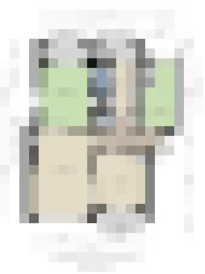 Karel de Grotelaan 149 Eindhoven thumbnail 35