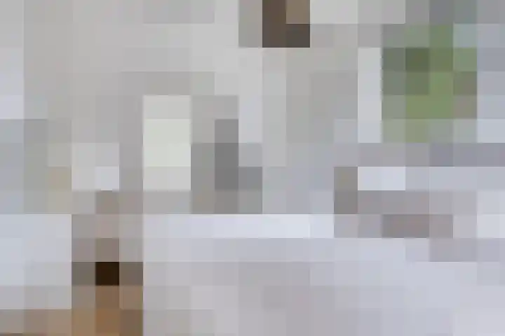 Karel de Grotelaan 149 Eindhoven thumbnail 4