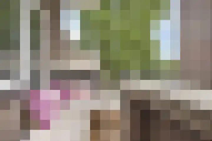 Karel de Grotelaan 149 Eindhoven thumbnail 6