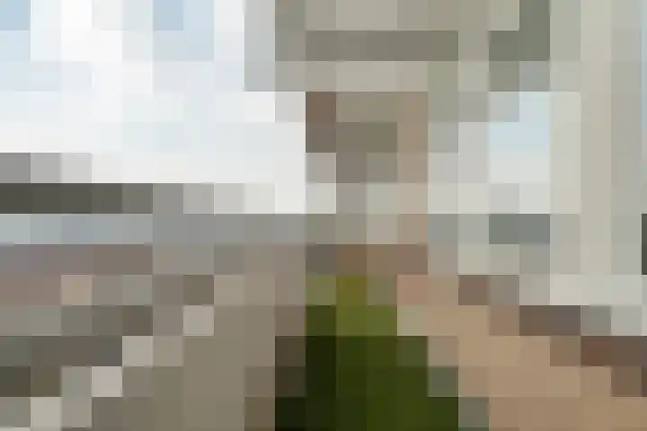 Karel de Grotelaan 154 Deventer thumbnail 18