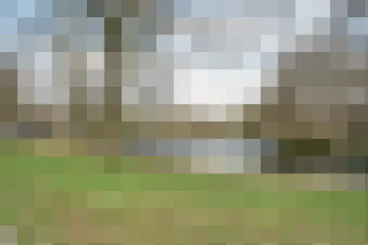 Karel de Grotelaan 154 Deventer thumbnail 33