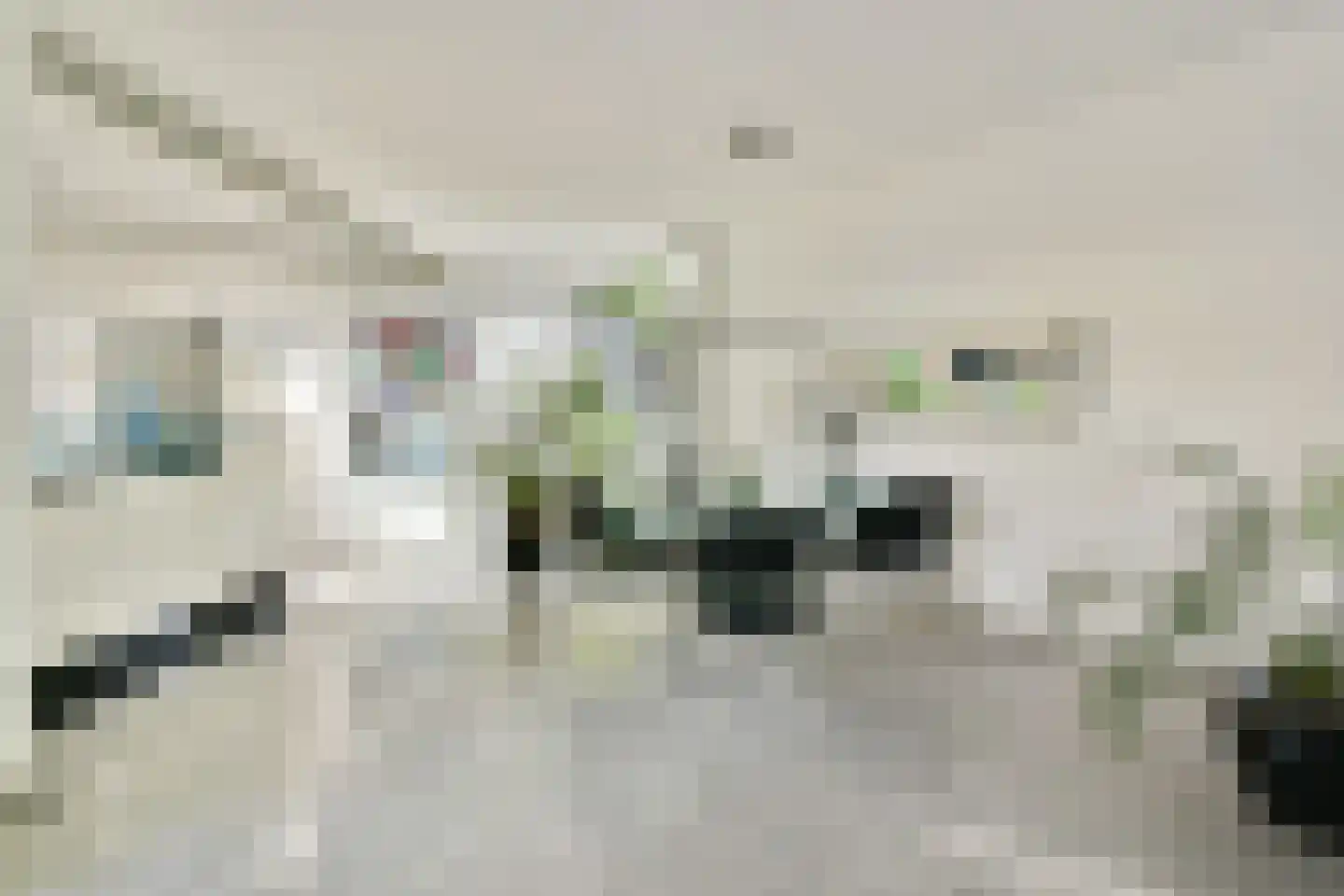 Karel de Grotelaan 155 Vlaardingen thumbnail 14