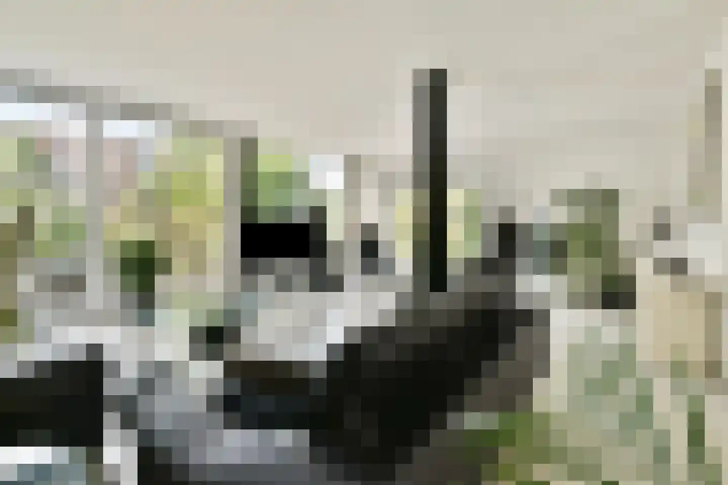 Karel de Grotelaan 155 Vlaardingen thumbnail 15
