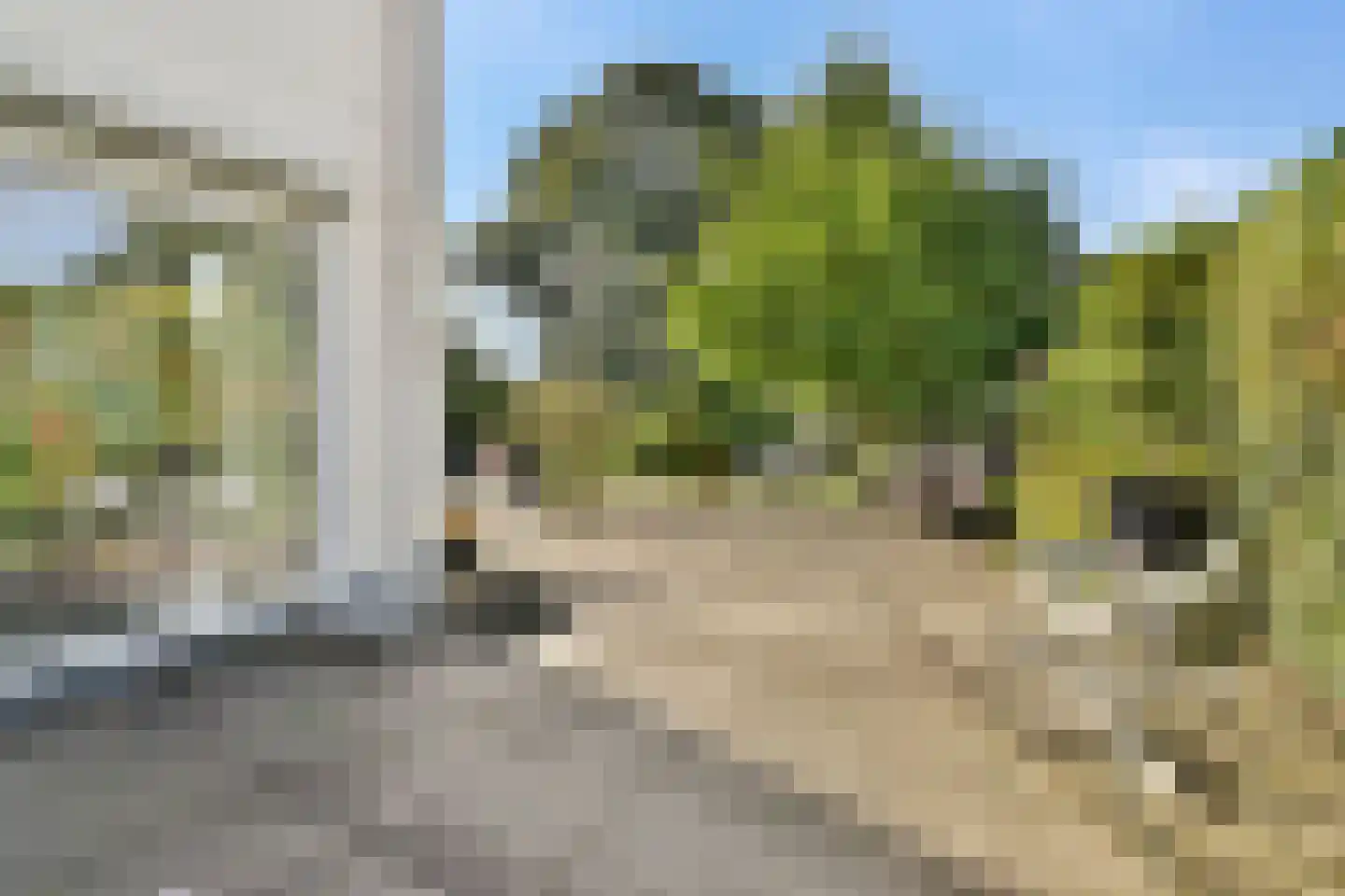 Karel de Grotelaan 155 Vlaardingen thumbnail 20
