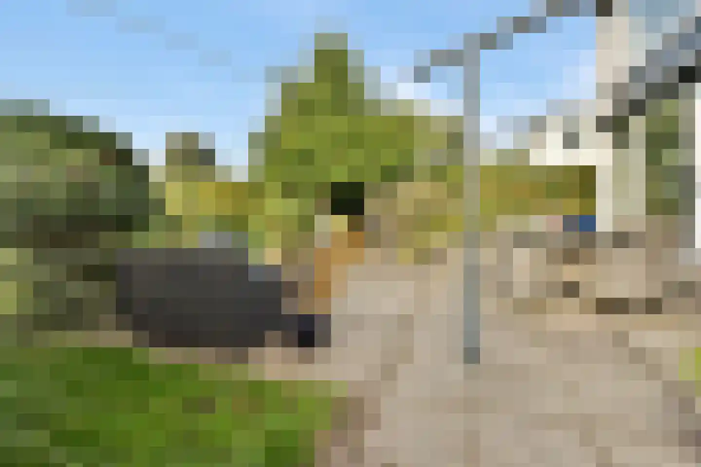 Karel de Grotelaan 155 Vlaardingen thumbnail 22