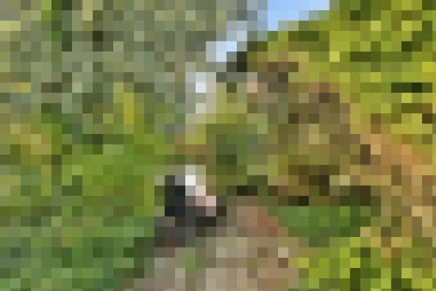 Karel de Grotelaan 155 Vlaardingen thumbnail 23