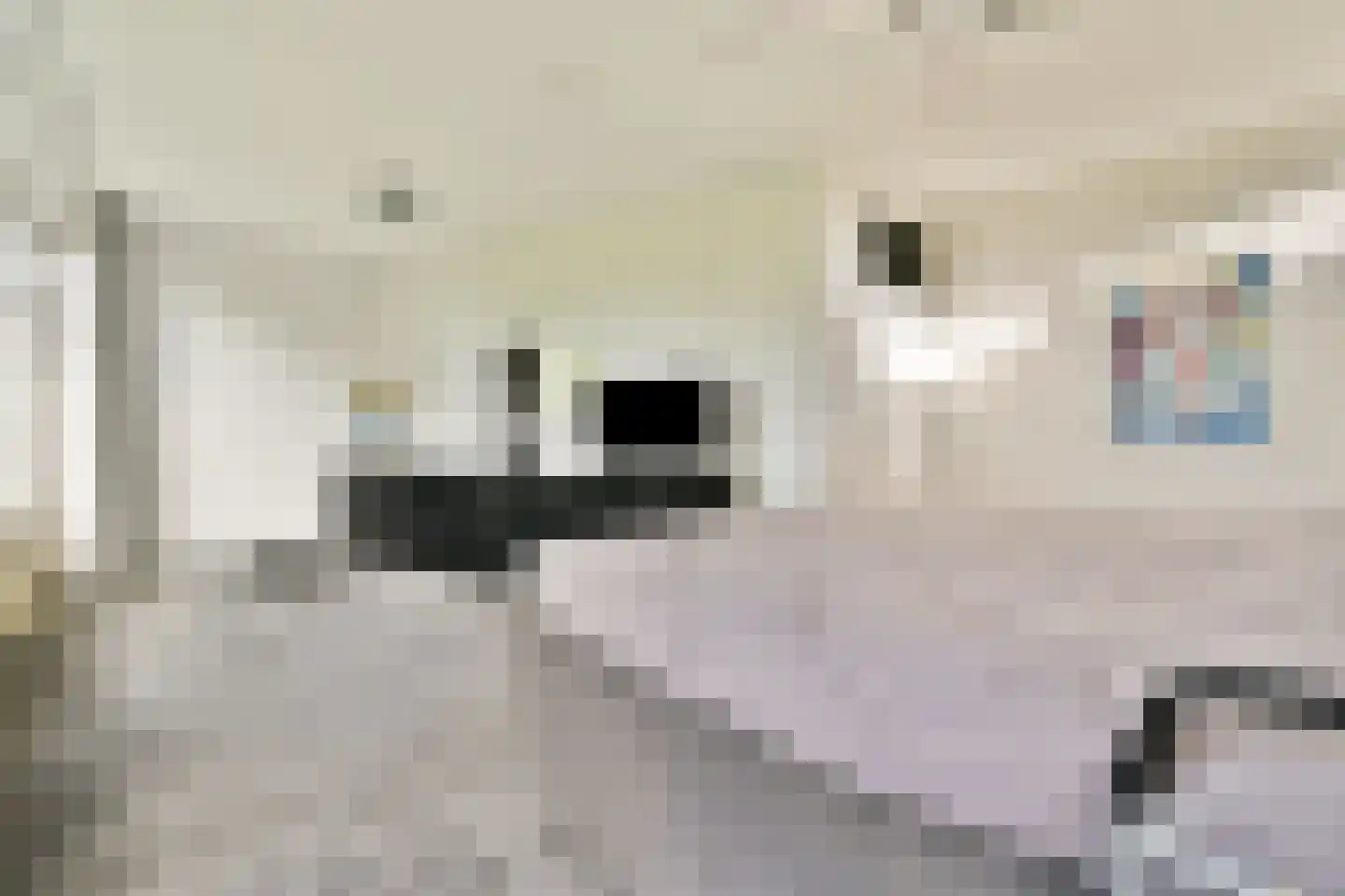 Karel de Grotelaan 155 Vlaardingen thumbnail 30
