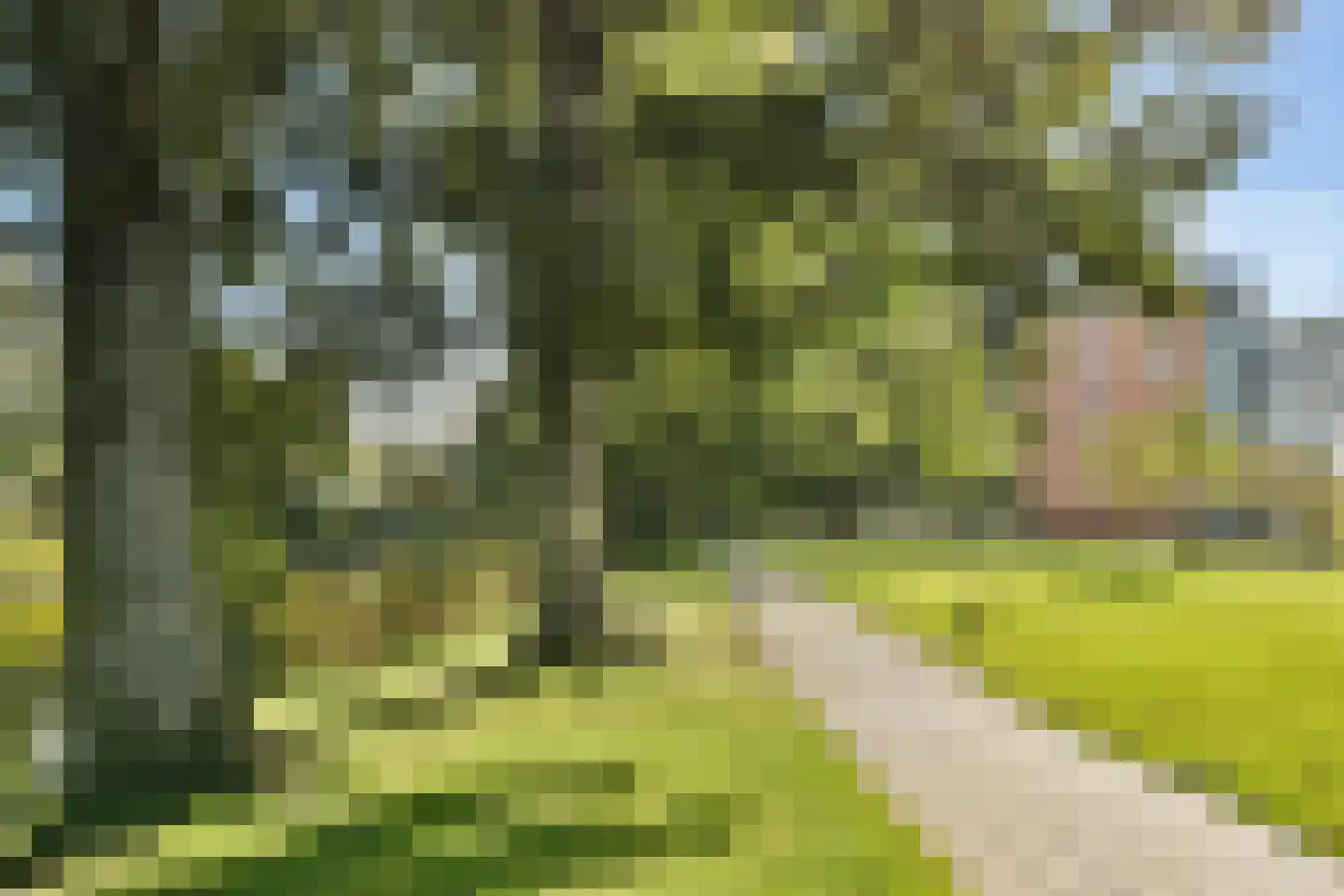 Karel de Grotelaan 155 Vlaardingen thumbnail 37