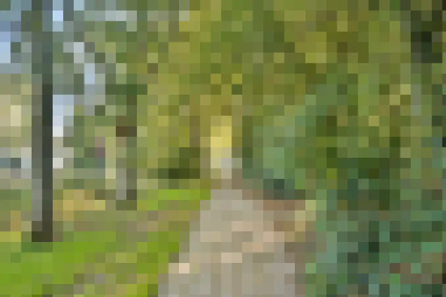 Karel de Grotelaan 155 Vlaardingen thumbnail 38
