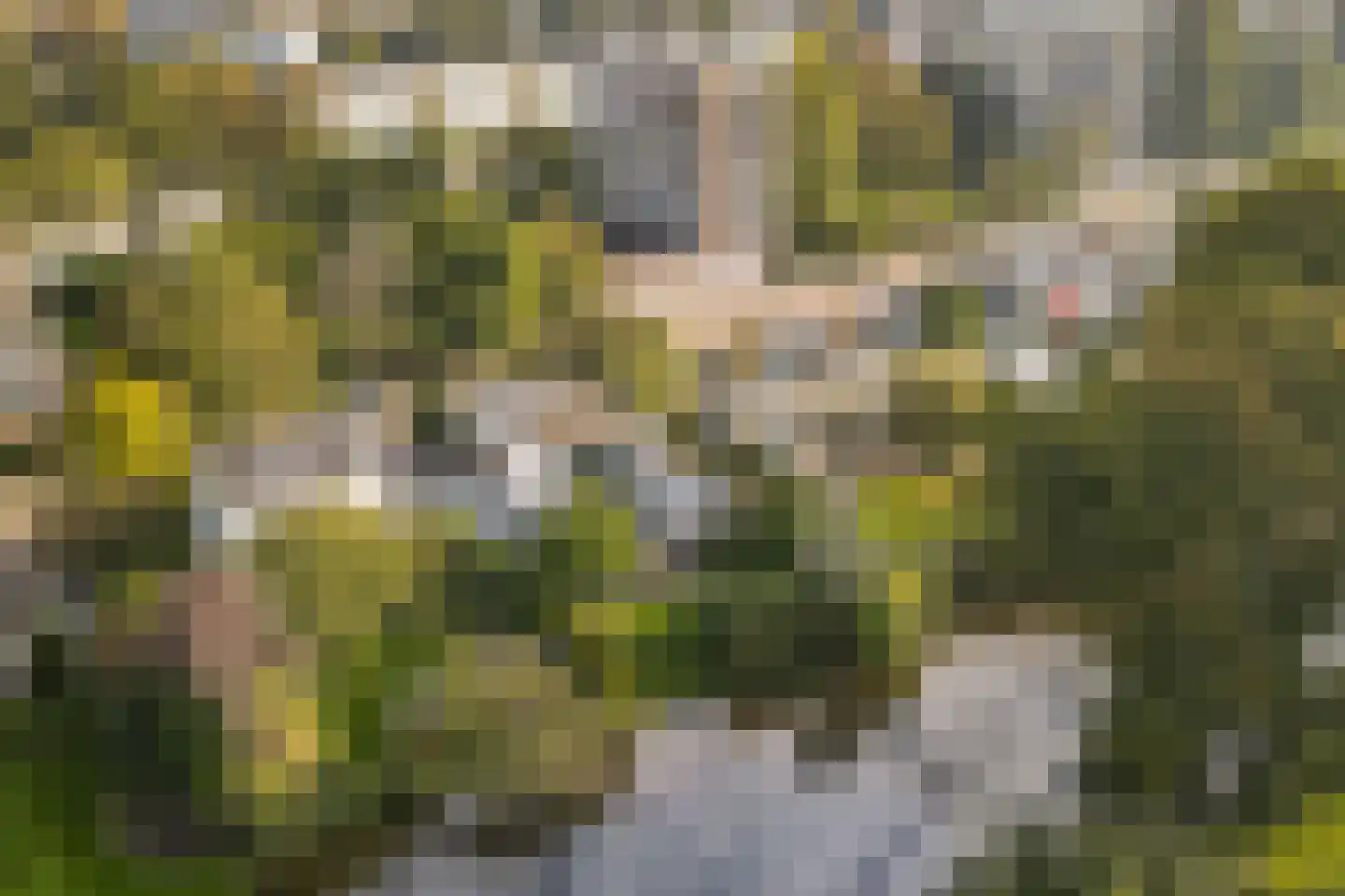 Karel de Grotelaan 155 Vlaardingen thumbnail 41