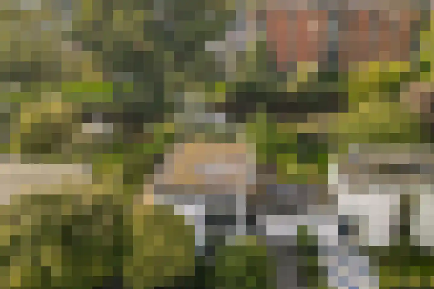 Karel de Grotelaan 155 Vlaardingen thumbnail 42
