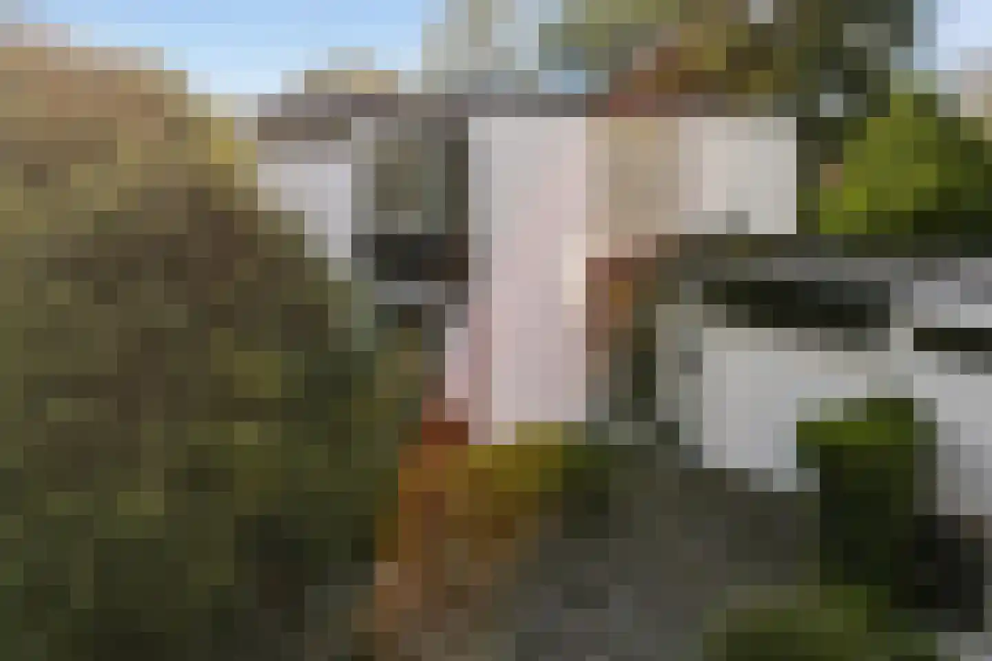Karel de Grotelaan 155 Vlaardingen thumbnail 6