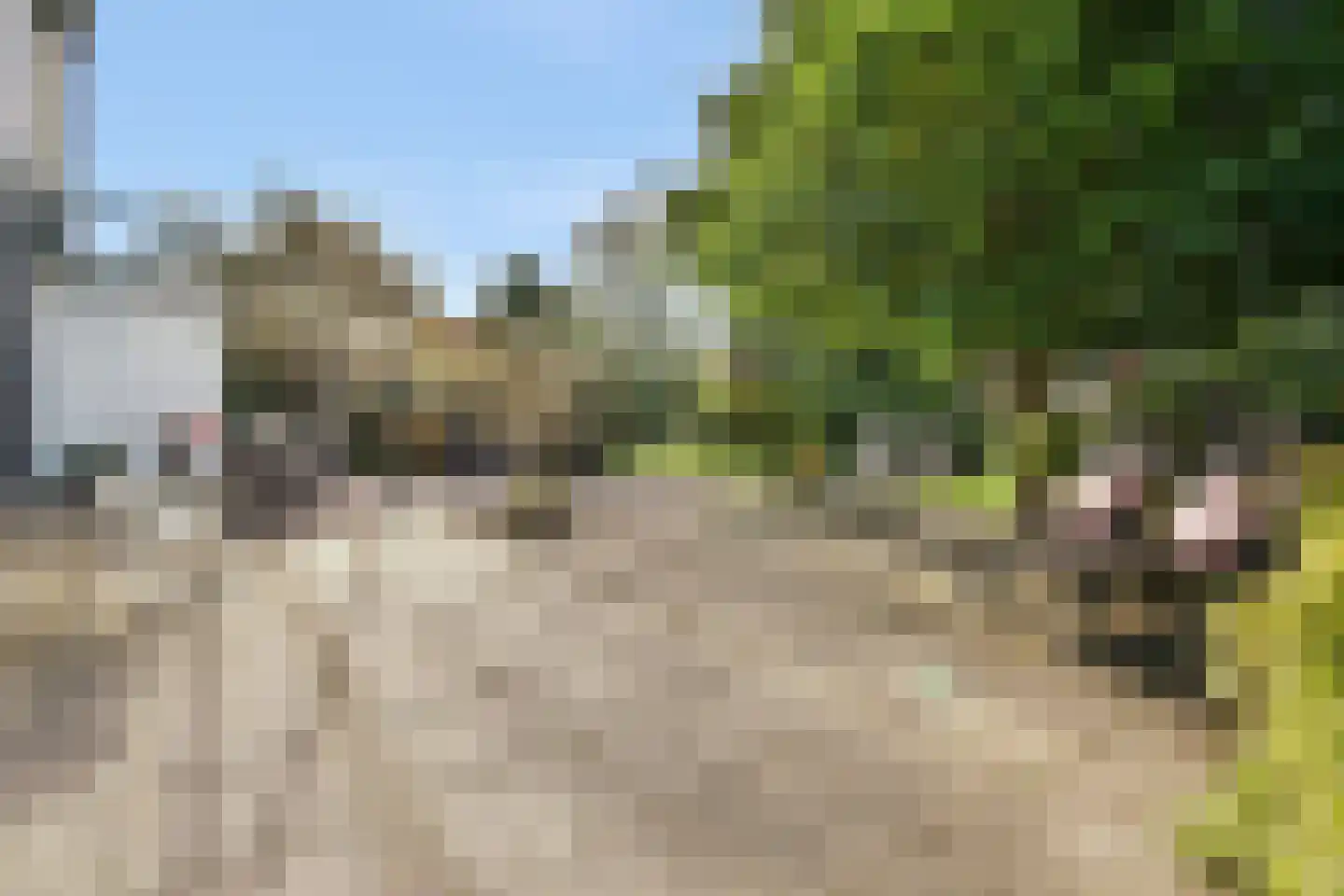 Karel de Grotelaan 155 Vlaardingen thumbnail 7