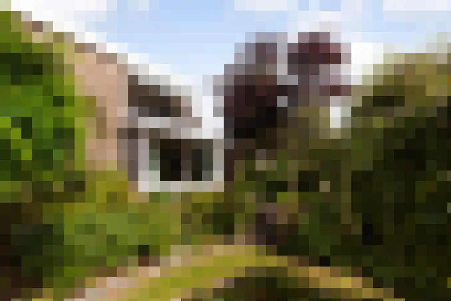 Karel de Grotelaan 173 Vlaardingen thumbnail 27