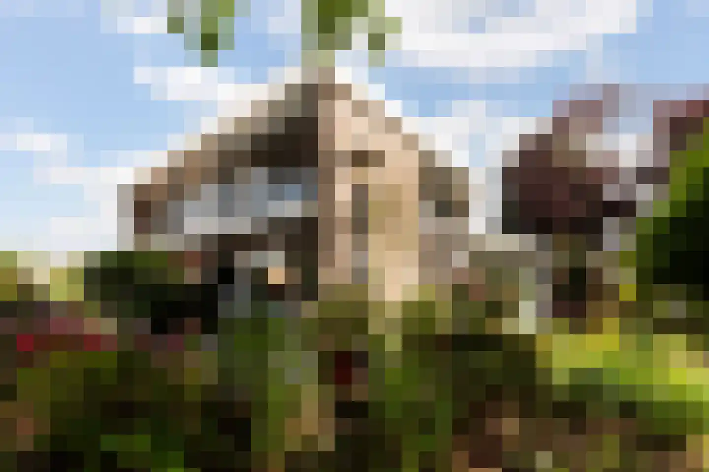 Karel de Grotelaan 173 Vlaardingen thumbnail 28