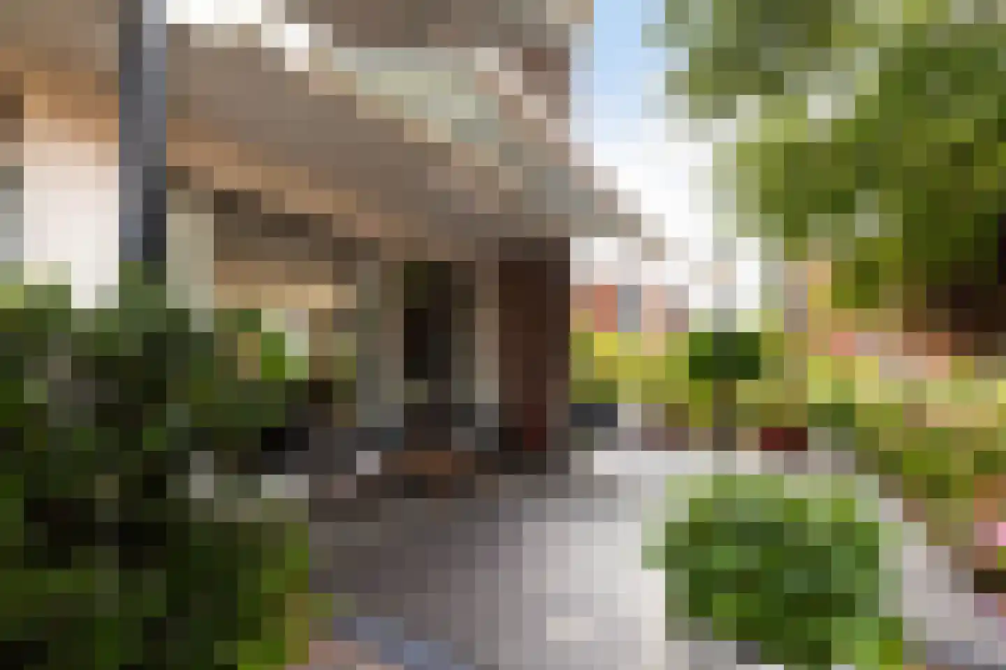 Karel de Grotelaan 173 Vlaardingen thumbnail 29