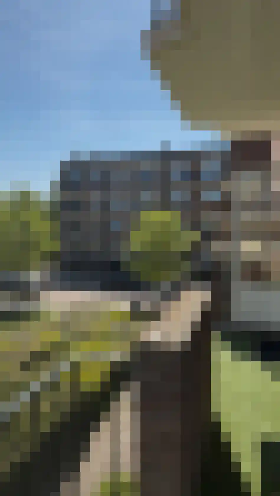 Karel de Grotelaan 185 Eindhoven thumbnail 22