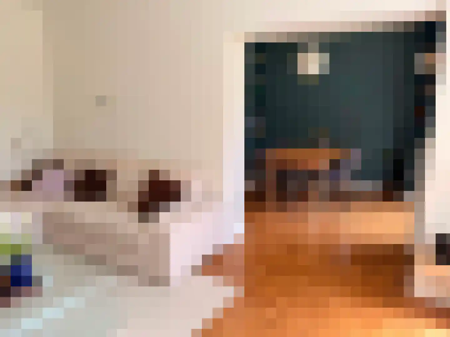 Karel de Grotelaan 193 Eindhoven thumbnail 11