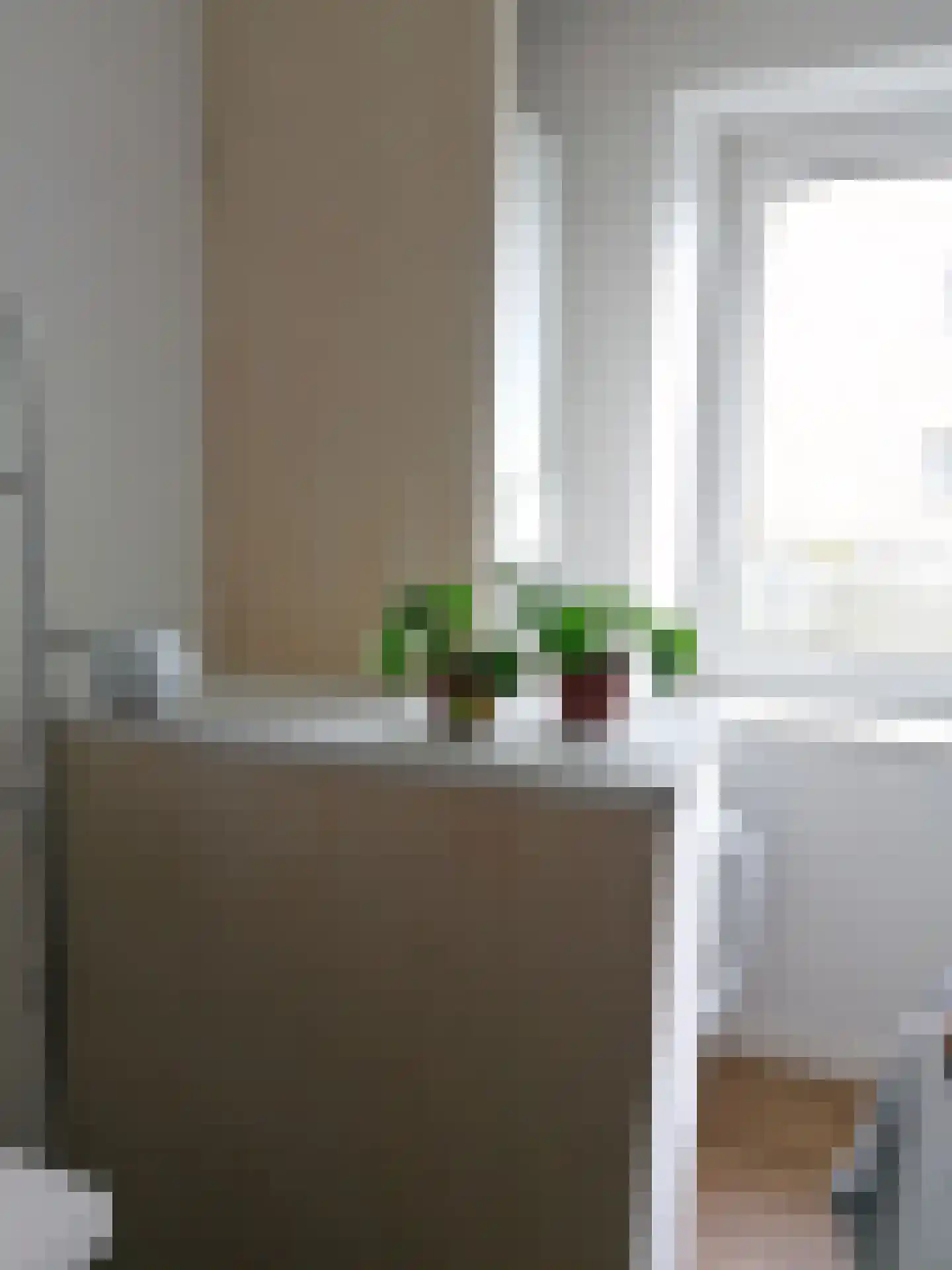 Karel de Grotelaan 193 Eindhoven thumbnail 12