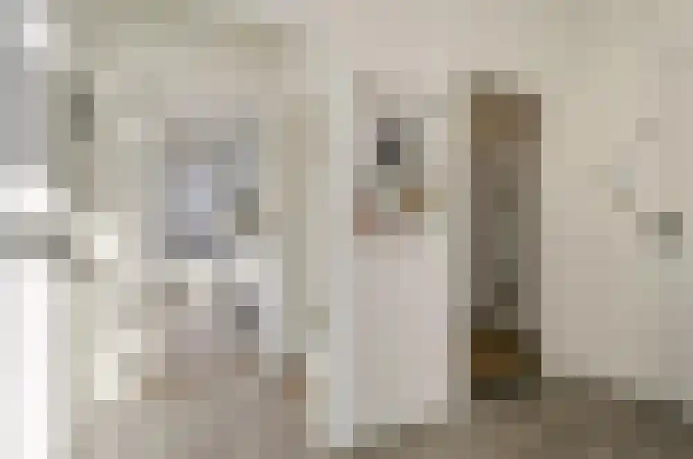 Karel de Grotelaan 193 Eindhoven thumbnail 15