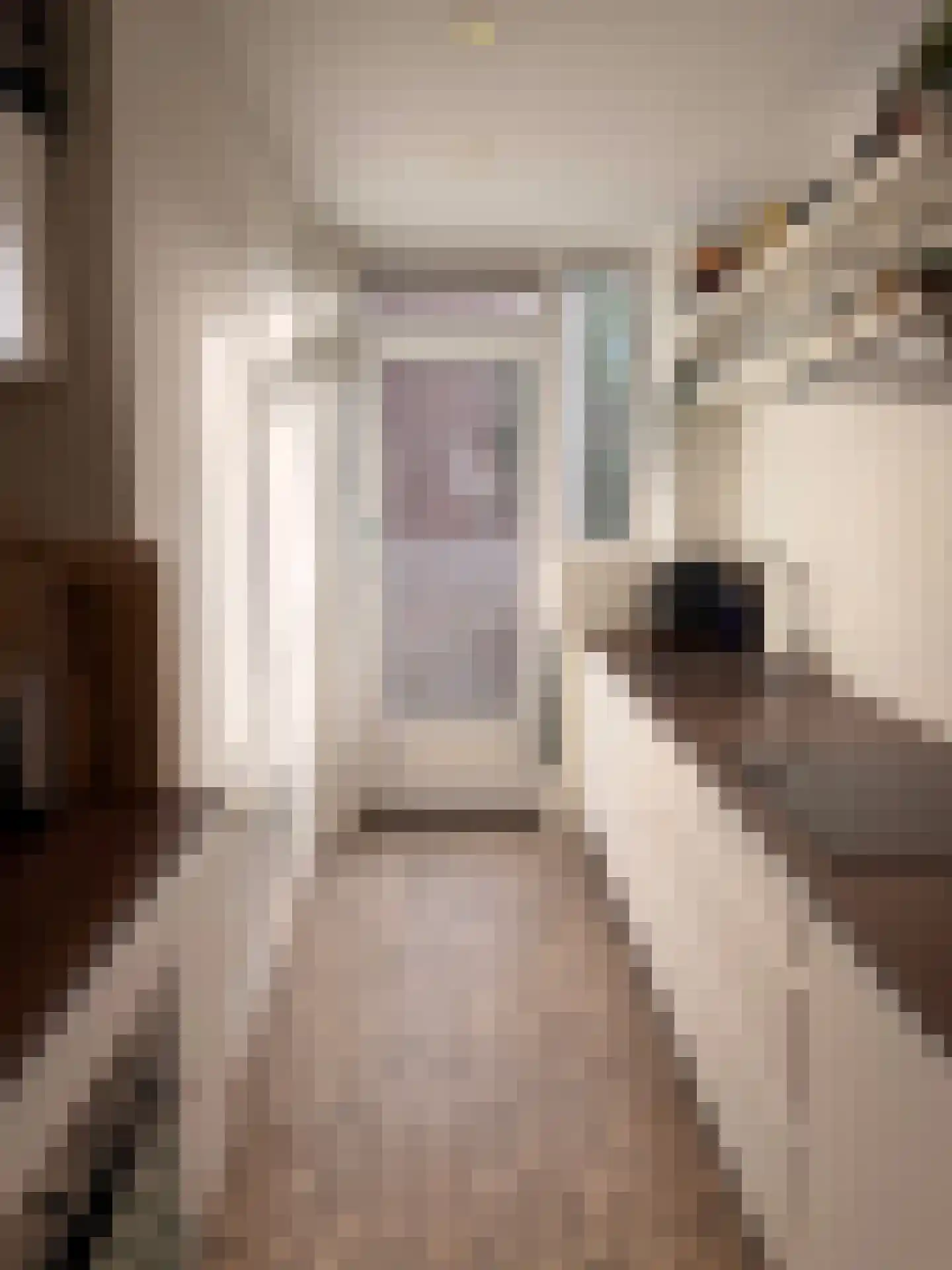 Karel de Grotelaan 193 Eindhoven thumbnail 17