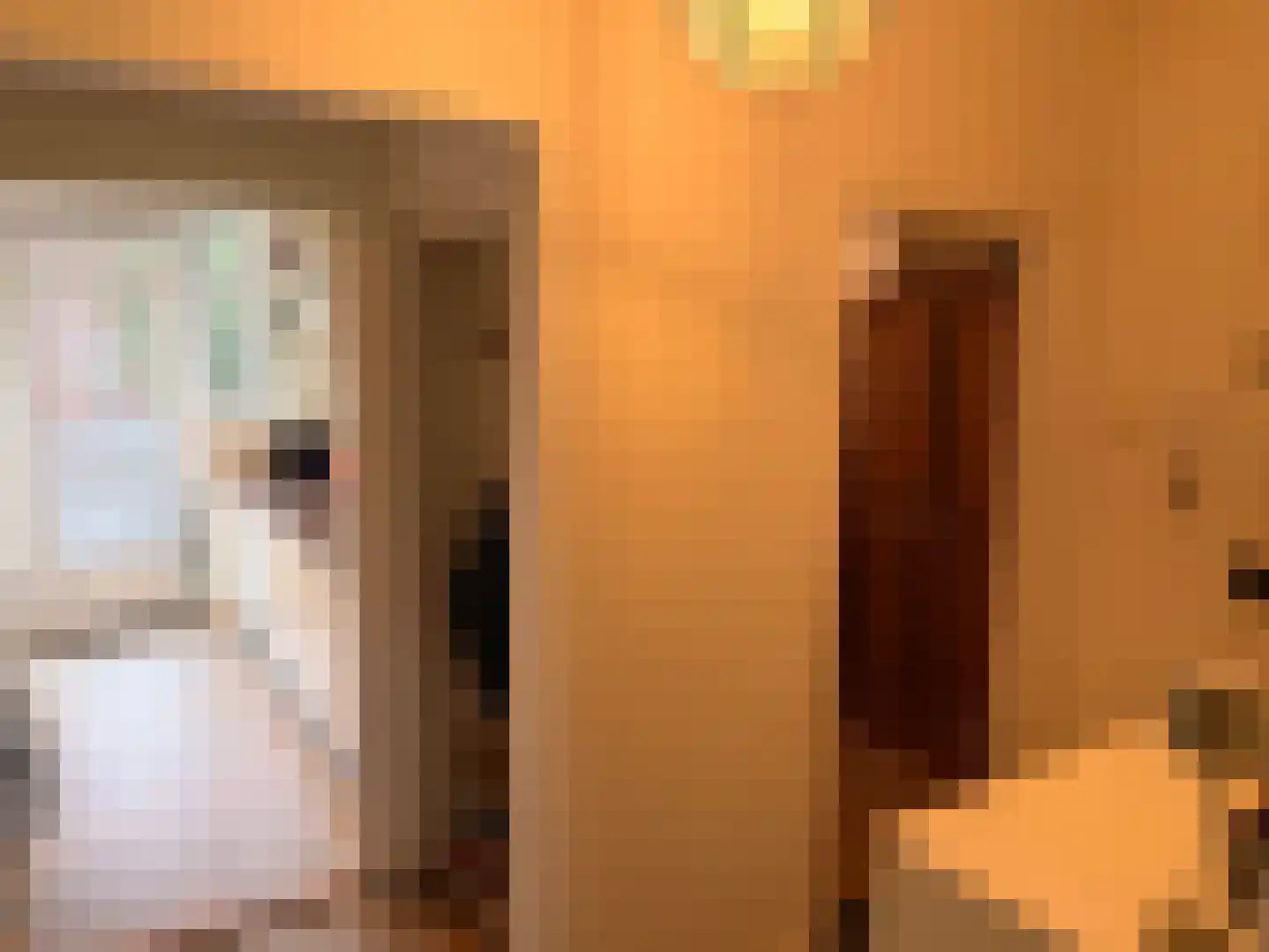 Karel de Grotelaan 193 Eindhoven thumbnail 18