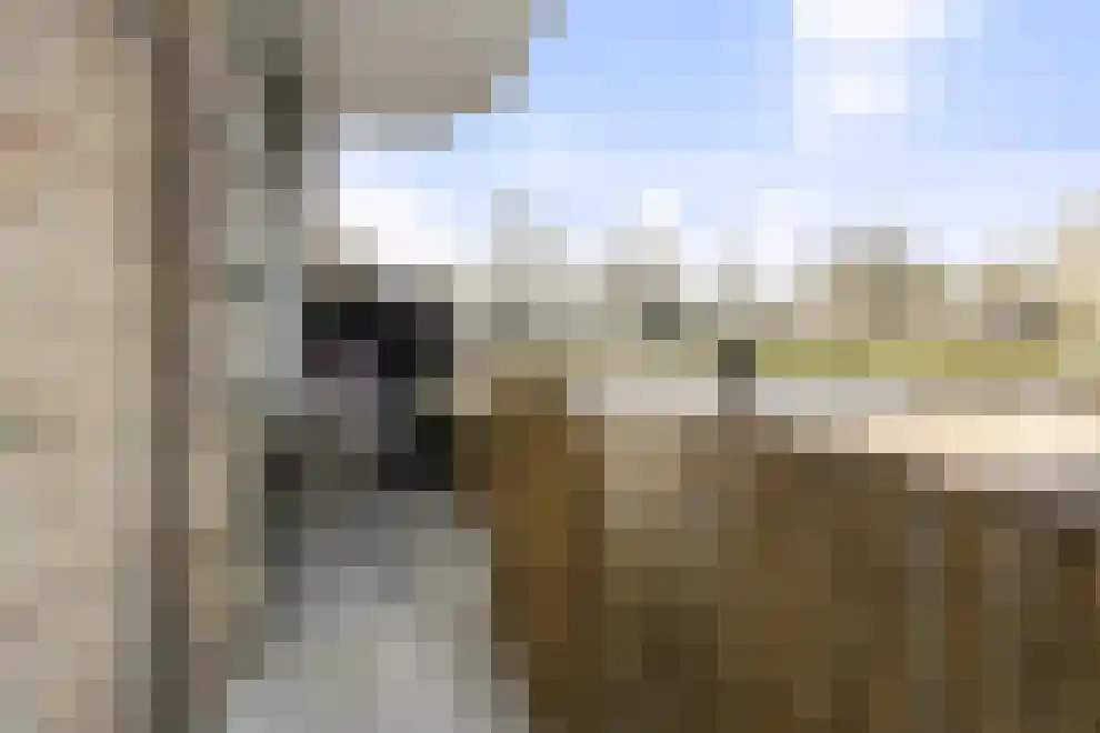 Karel de Grotelaan 193 Eindhoven thumbnail 5