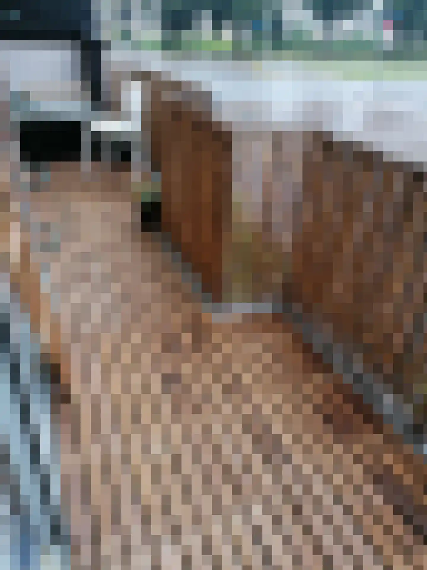 Karel de Grotelaan 193 Eindhoven thumbnail 6