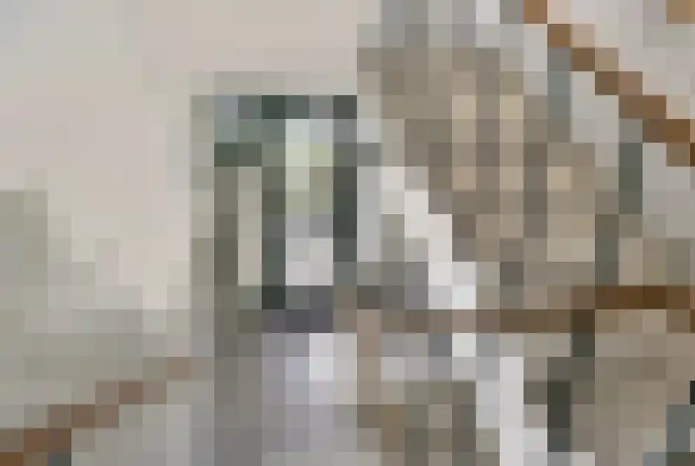 Karel de Grotelaan 193 Eindhoven thumbnail 8