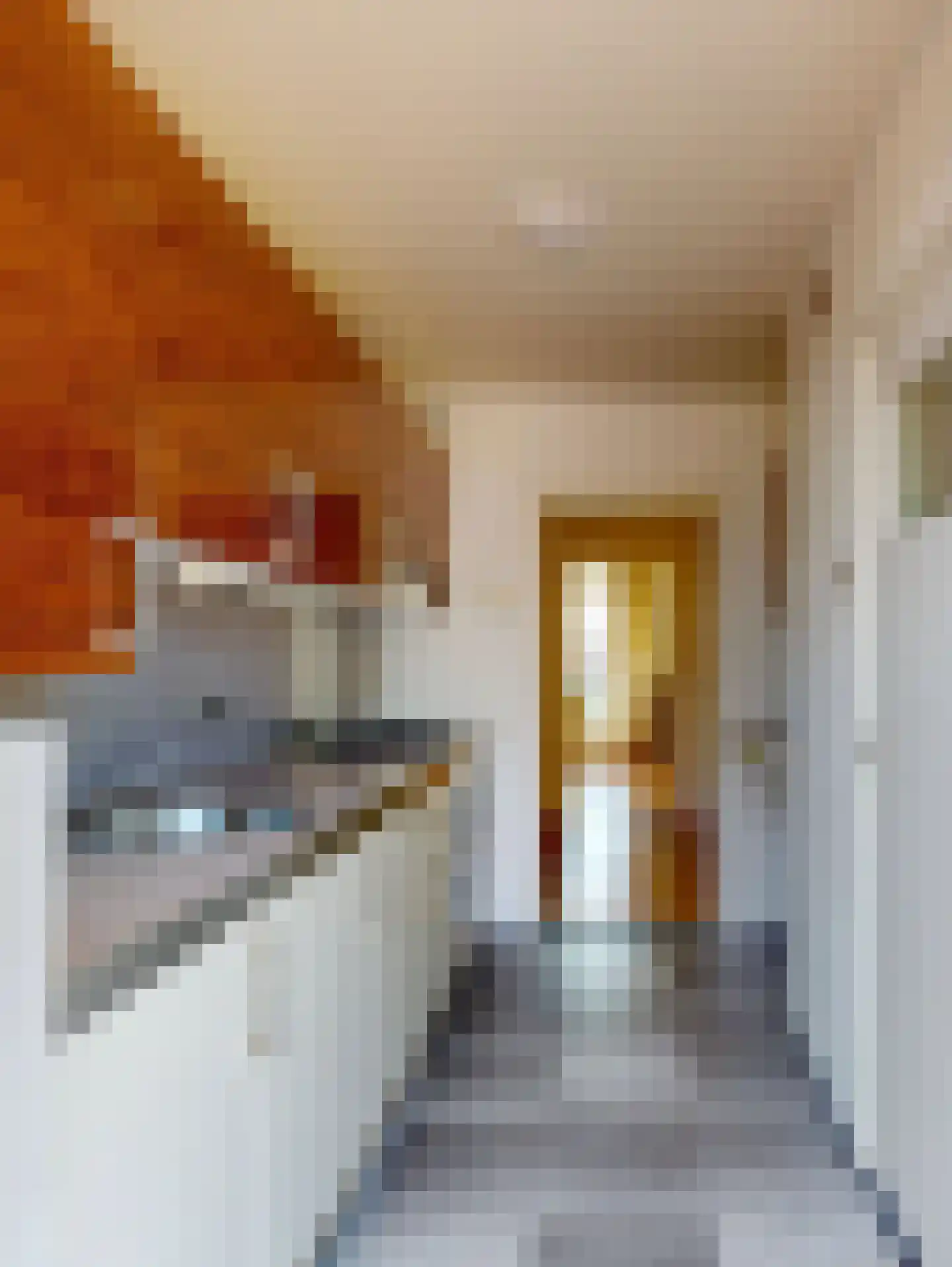 Karel de Grotelaan 197 Eindhoven thumbnail 21