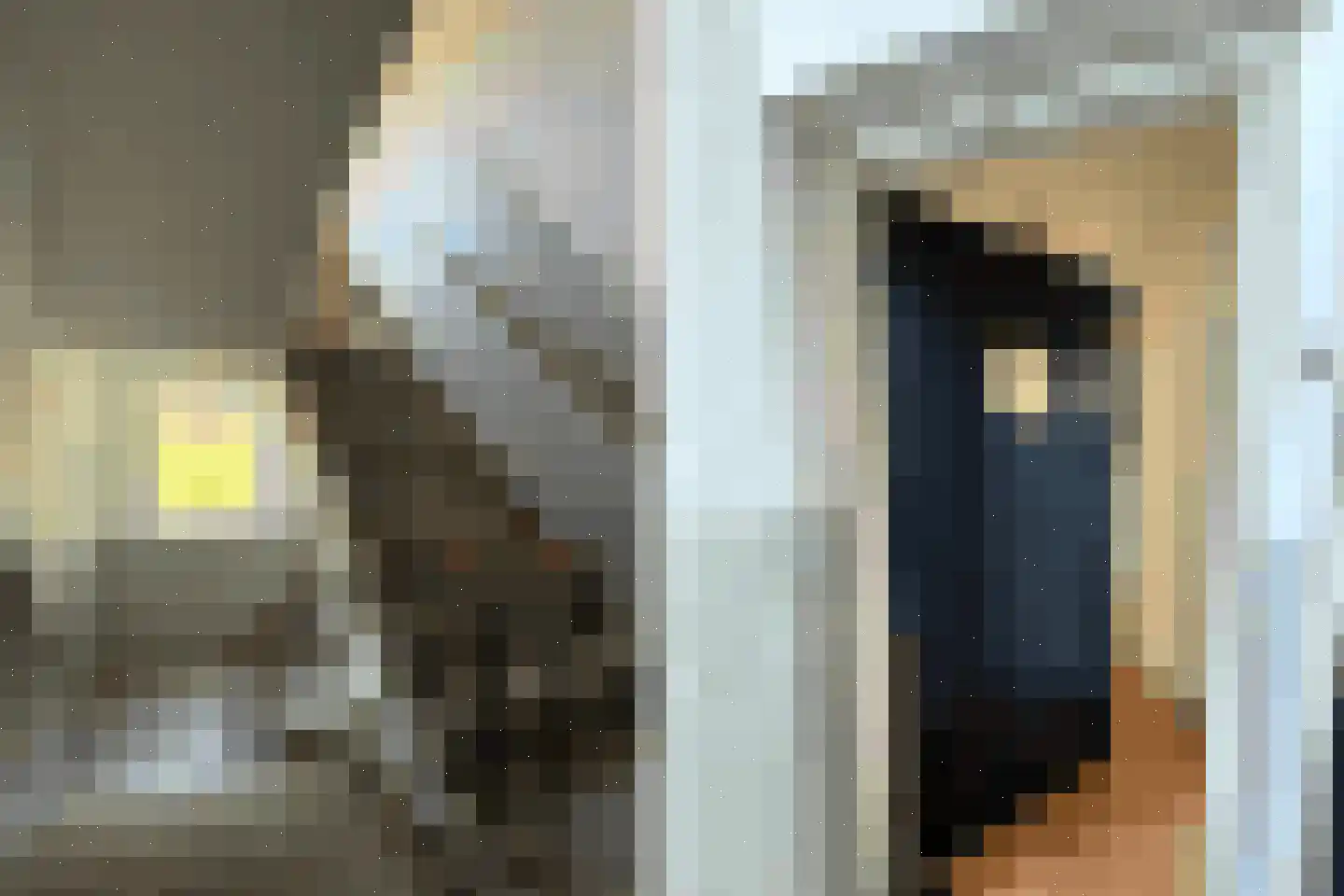 Karel de Grotelaan 197 Eindhoven thumbnail 5