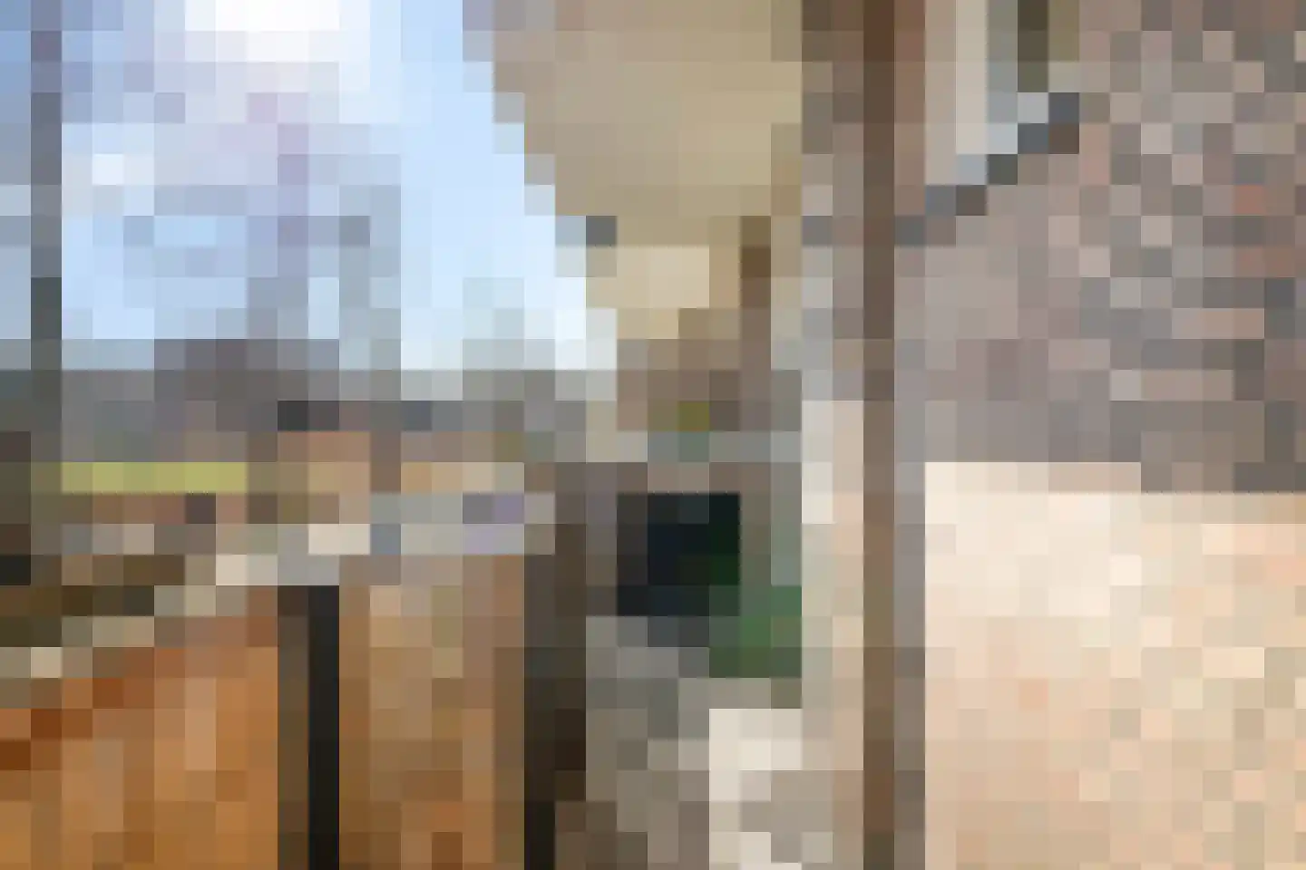 Karel de Grotelaan 227 Eindhoven thumbnail 23